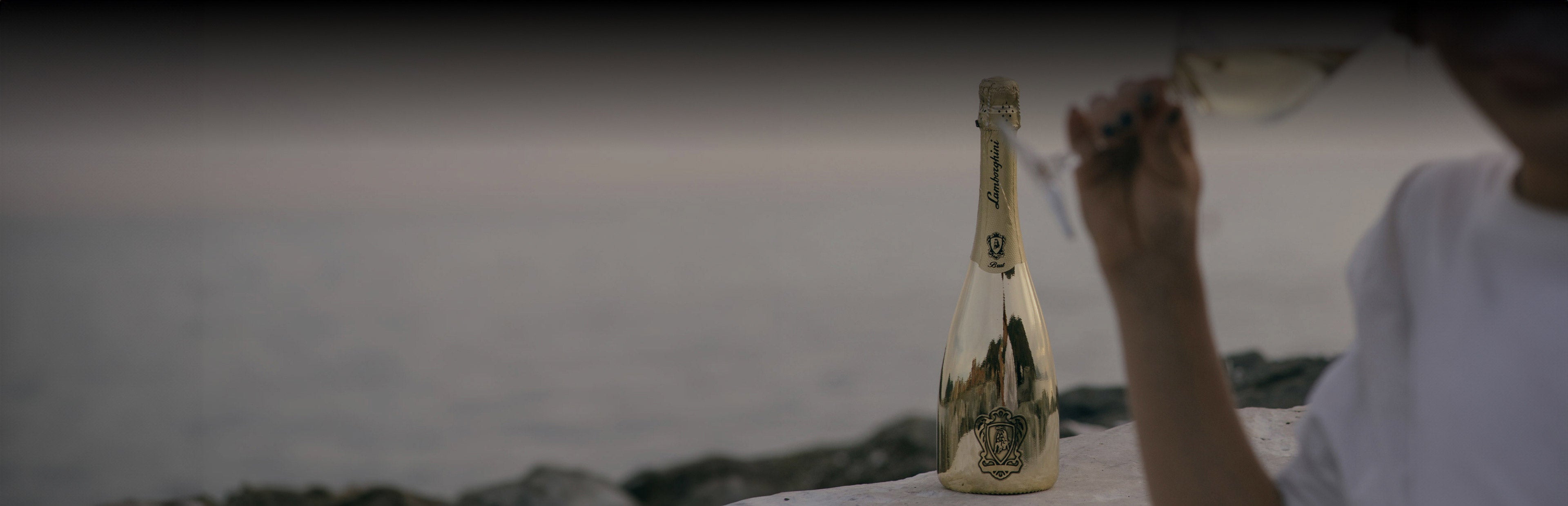 Women drinking wine with bottle and sea in the background