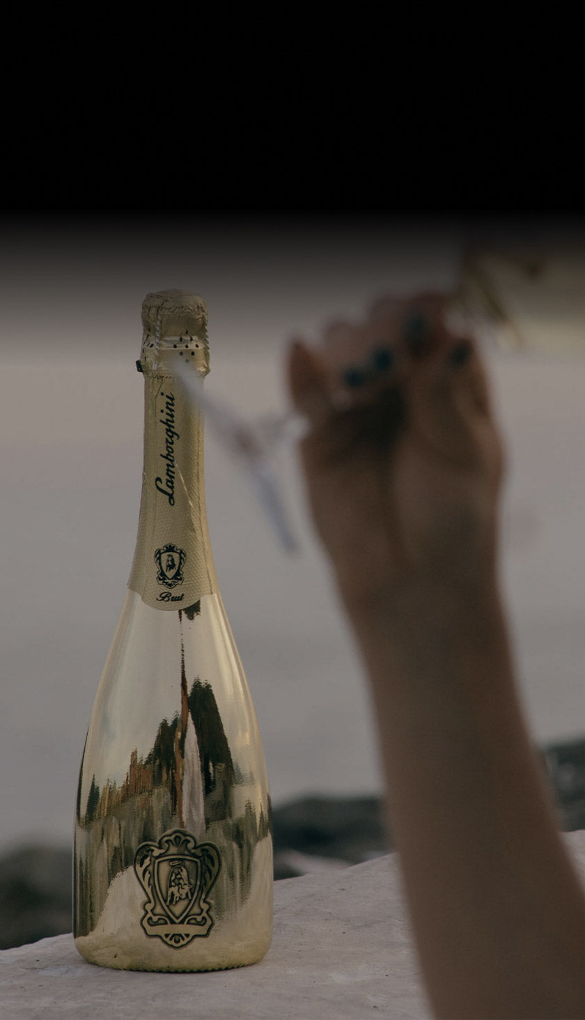 Women drinking wine with bottle and sea in the background
