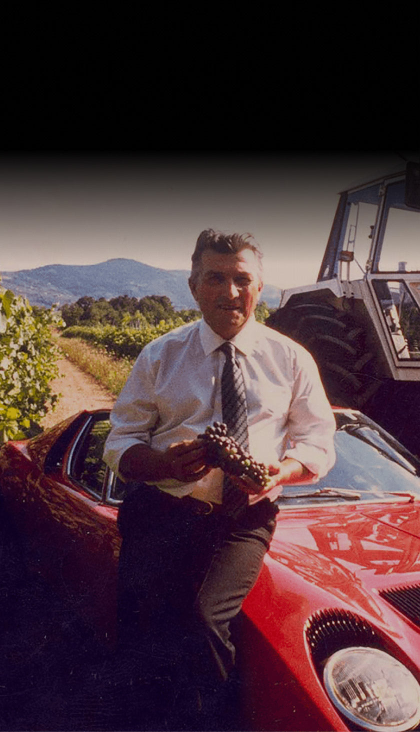 Ferruccio Lamborghini holding a a bunch of grapes