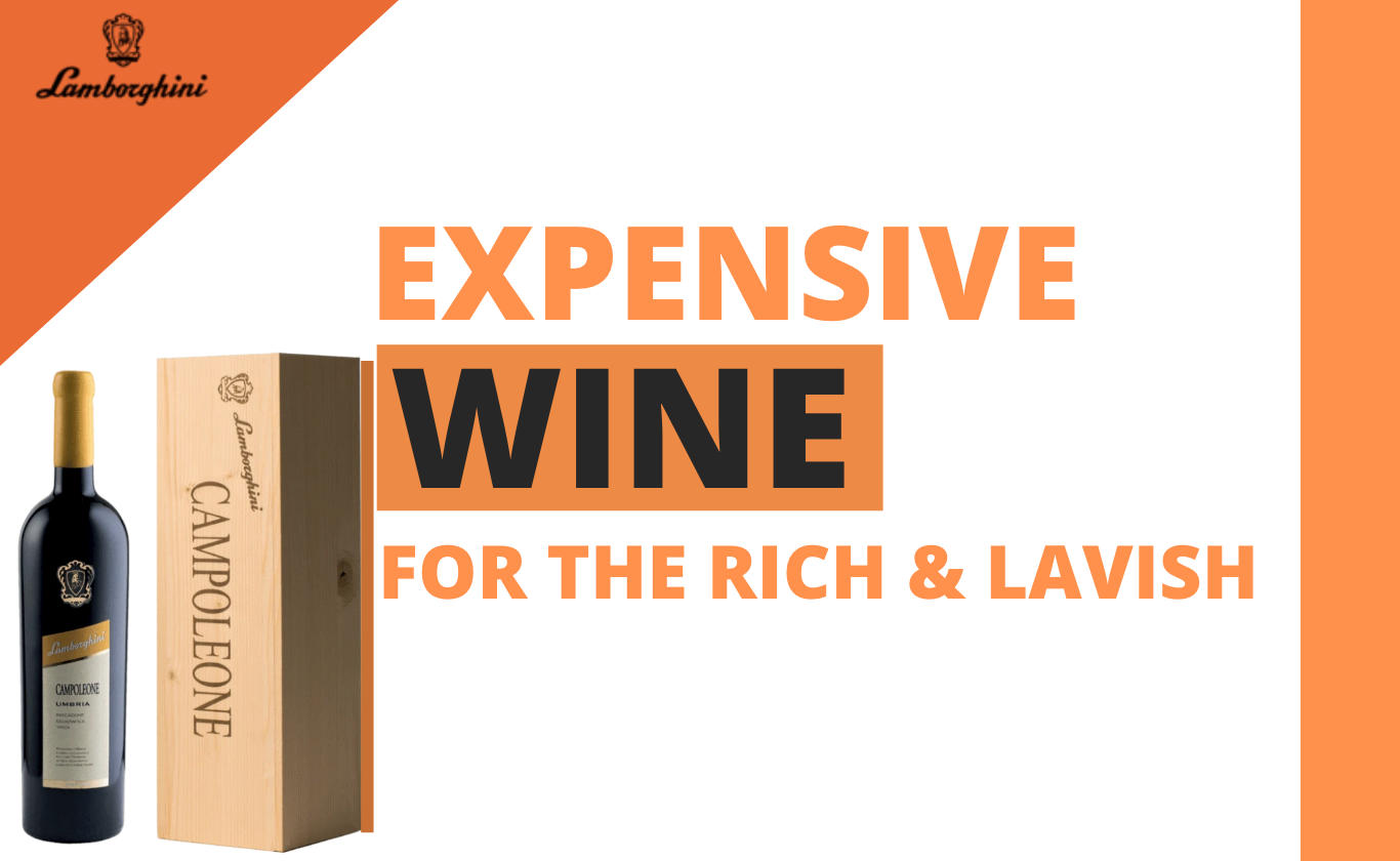 Expensive Wine For The Rich & Lavish